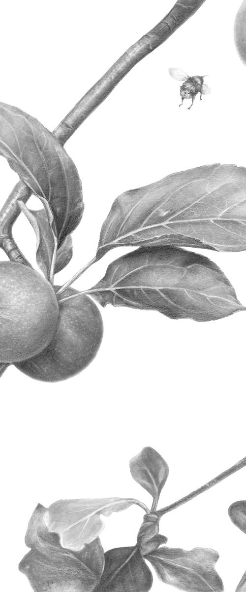 The Taste of Childhood by Anna Lyashenko