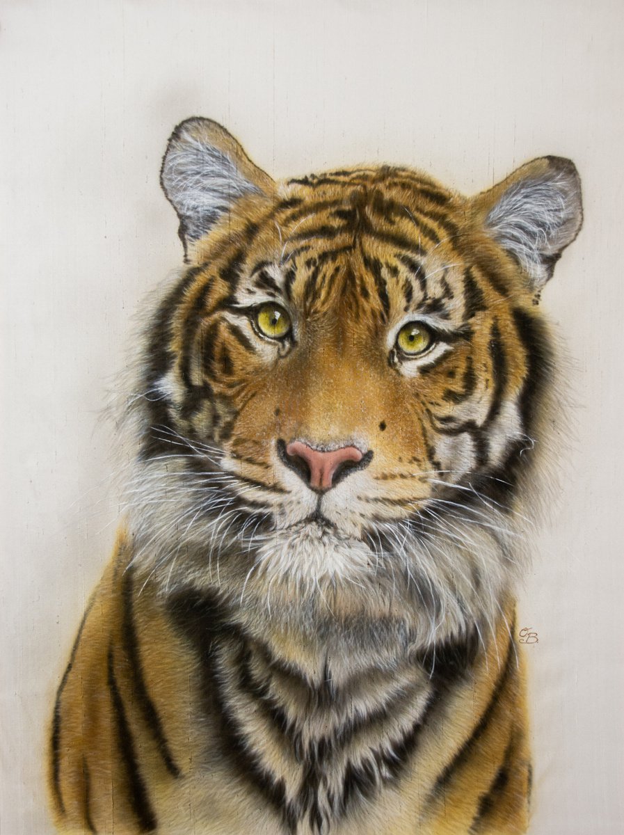 Tiger Naresh - Silk painting, contemporary art, realism, wild life art, big cat painting by Olga Belova