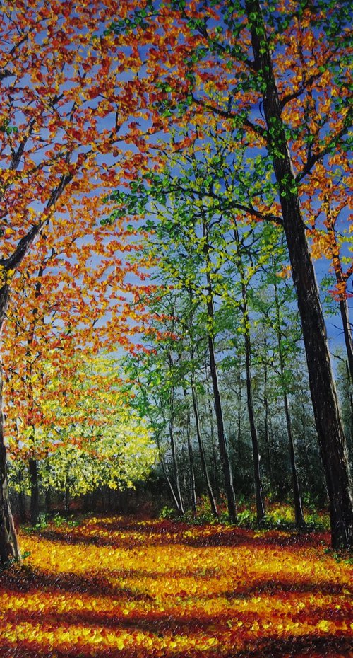 Autumn Forest Glow by Hazel Thomson