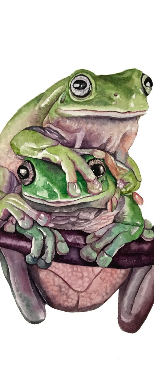 Froggy Friends by Lisa Lennon