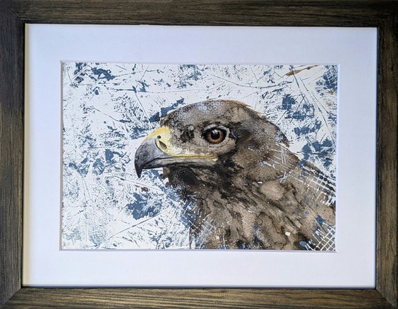 Golden eagle mixed media