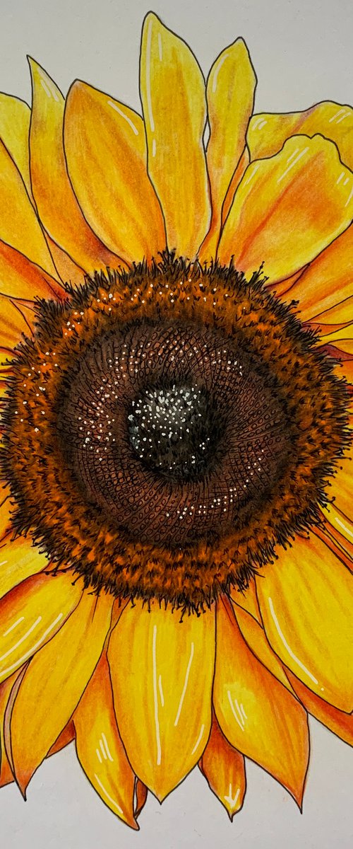 Sunflower by Karen Elaine  Evans