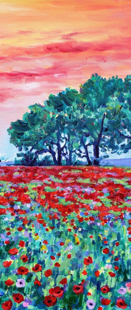 Evening Poppies by Zoe Elizabeth Norman