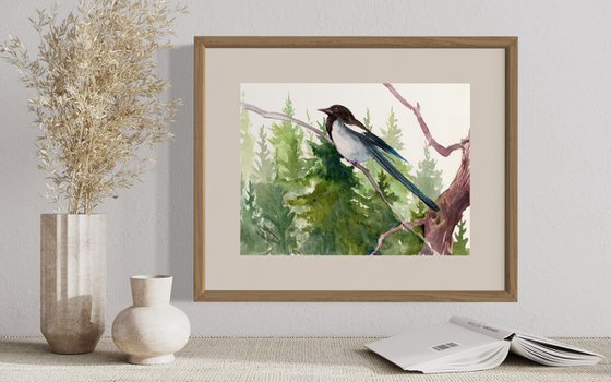 Magpie in the forest