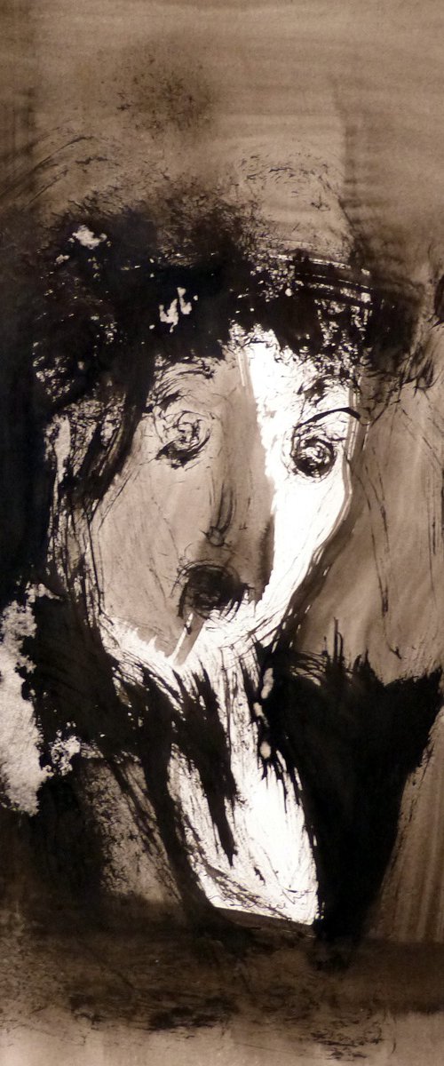 Portrait 6C17 by Frederic Belaubre