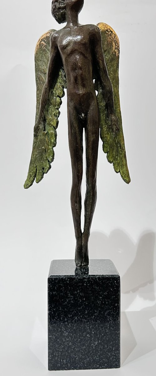 Guardian Angel, no.3/7 by Gor Avetisyan