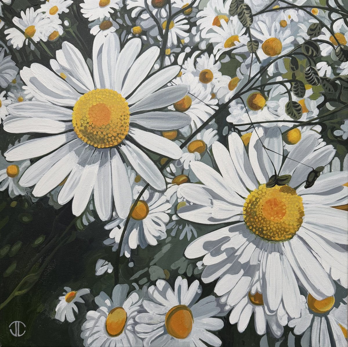 Bright Daisies by Joseph Lynch