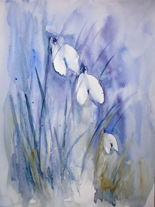 watercolour snowdrops by Sue  Green