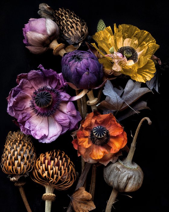Elegy in Bloom 3