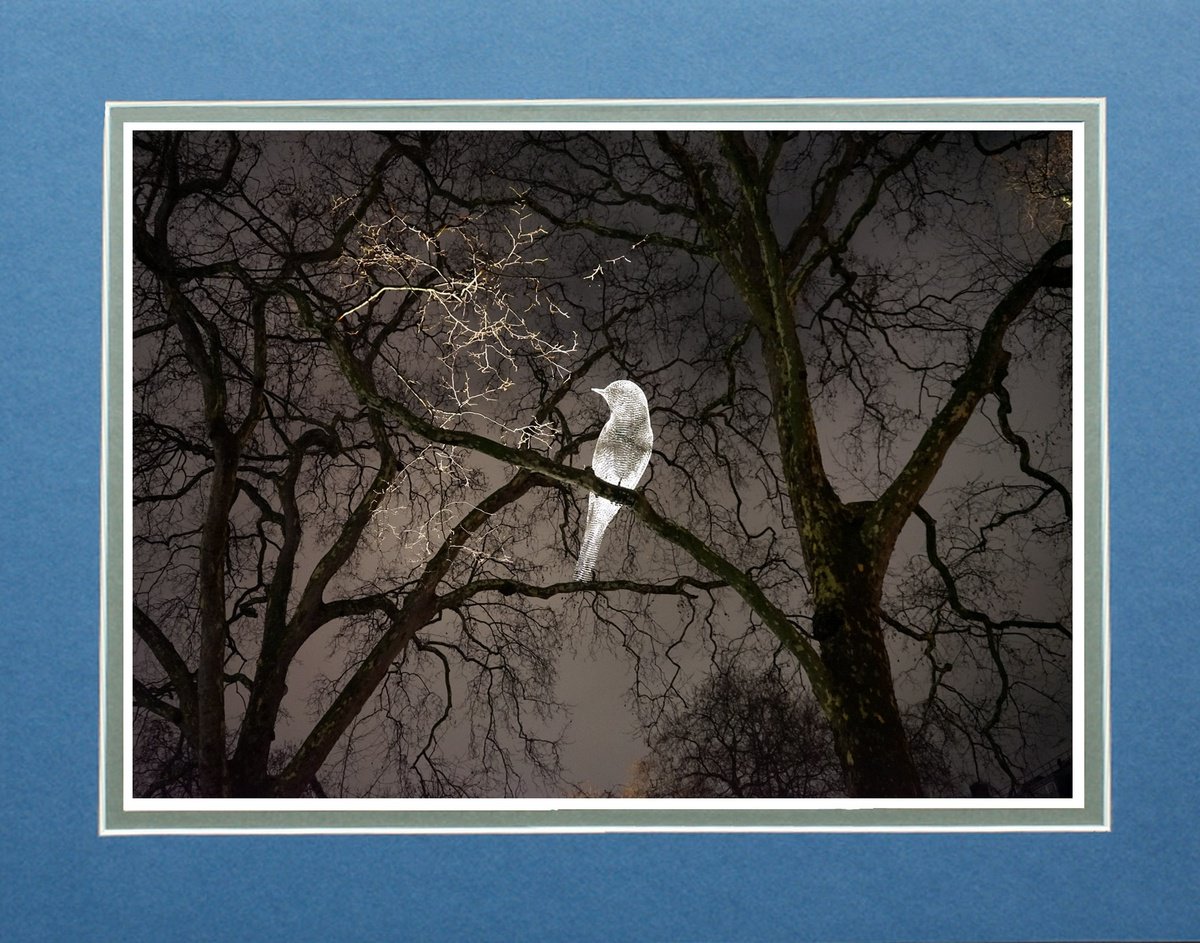 London Berkeley Square by Robin Clarke