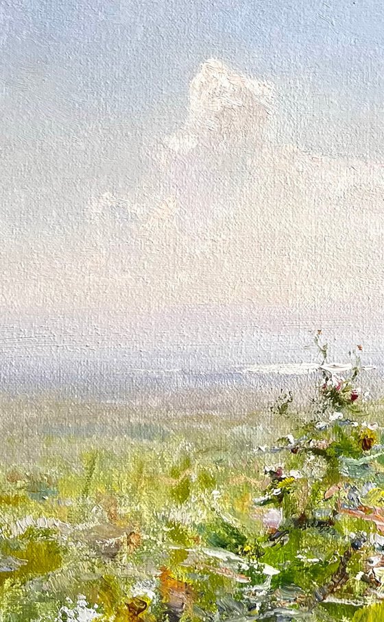 Sun in the steppe