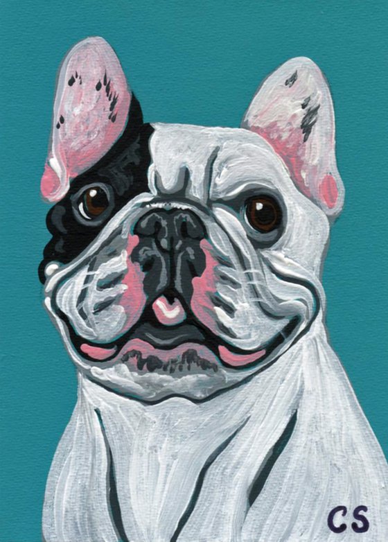 ACEO ATC Original Miniature Painting Pied French Bulldog Pet Dog Art-Carla Smale