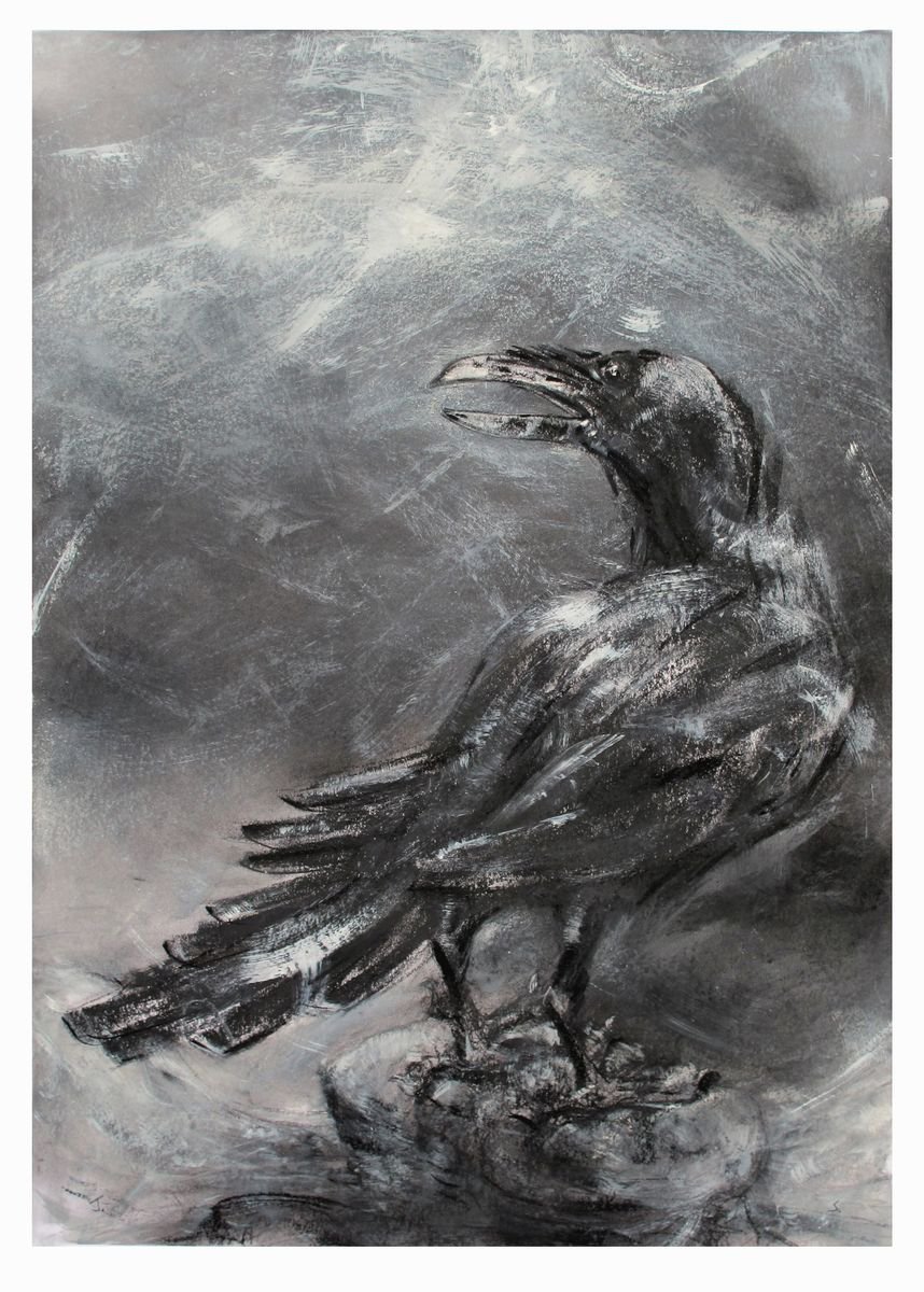 Raven, Longsleddale, Cumbria by John Sharp