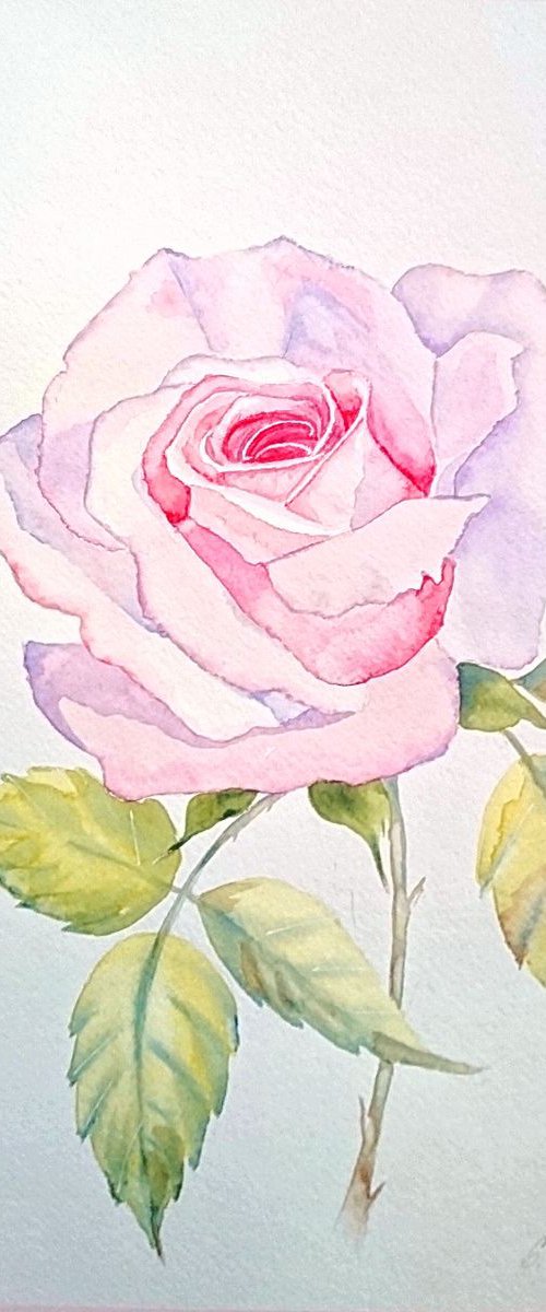 Rose. Watercolor painting on paper. by Svetlana Vorobyeva