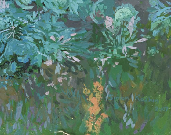 Granny's backyard