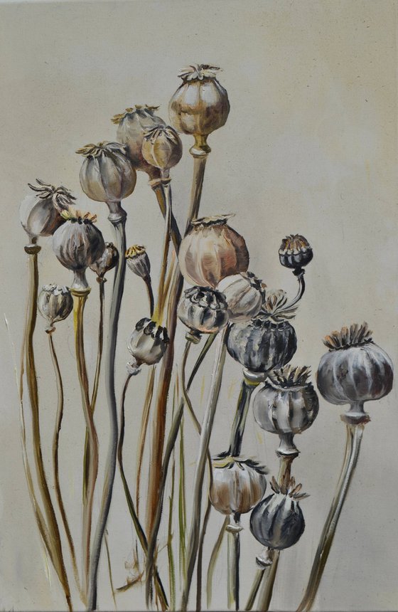 Pastel Poppy Pods