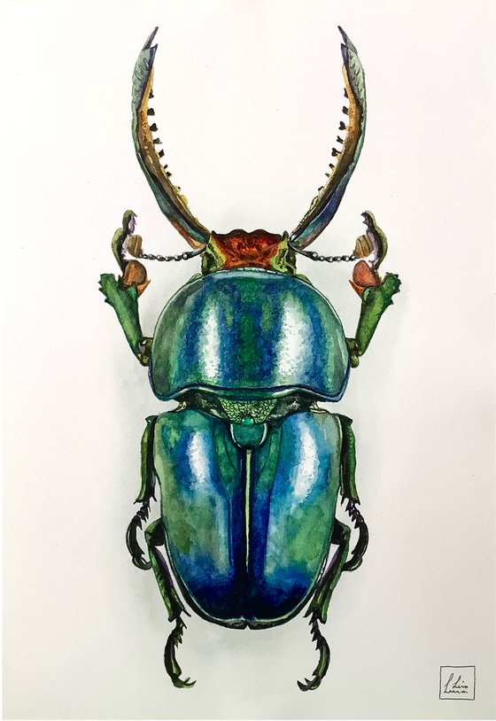 Teal Beetle