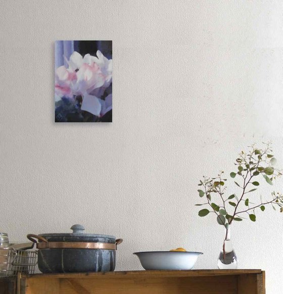 Cyclamen by the window