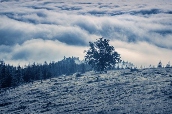 Under cover of the morning fog.