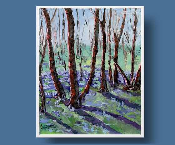 Blooming Bluebells, forest