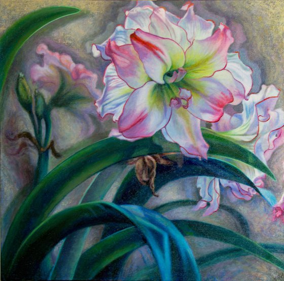 Pink Amaryllis Triptych