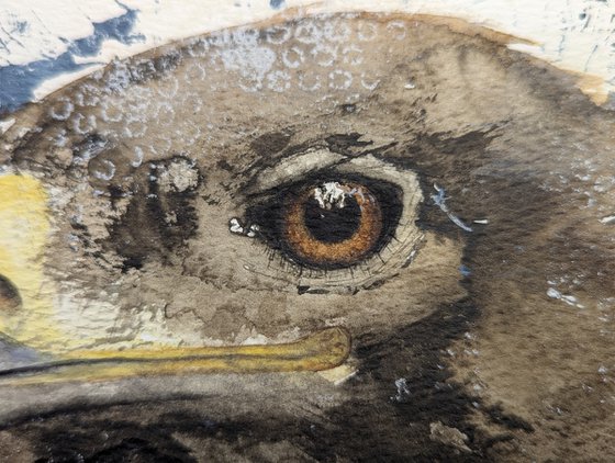Golden eagle mixed media
