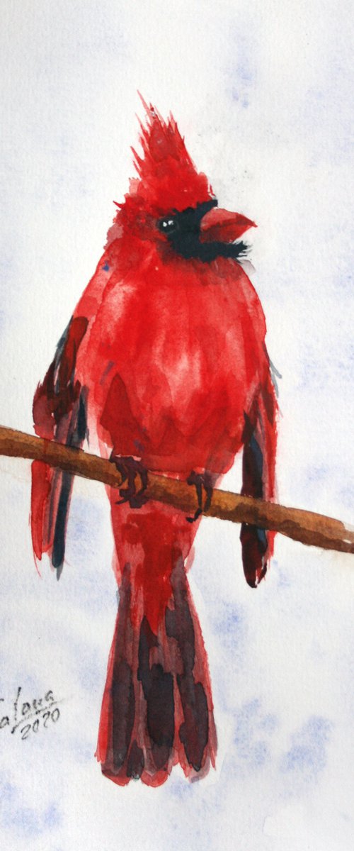 Cardinal IV - Bird portrait /  ORIGINAL PAINTING by Salana Art Gallery