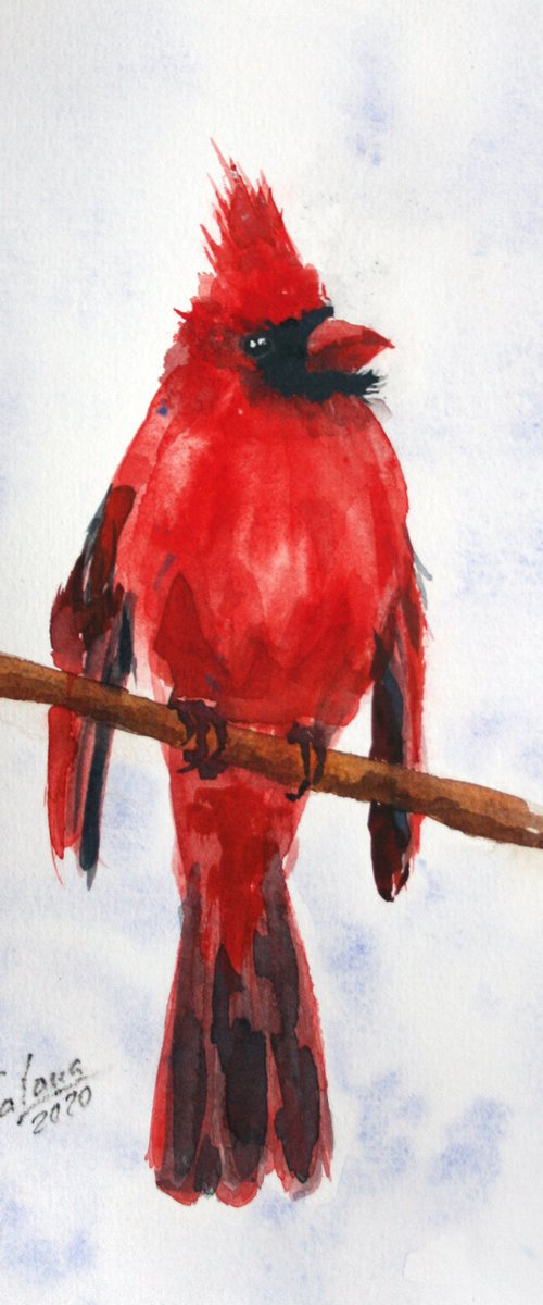 Cardinal IV - Bird portrait /  ORIGINAL PAINTING by Salana Art