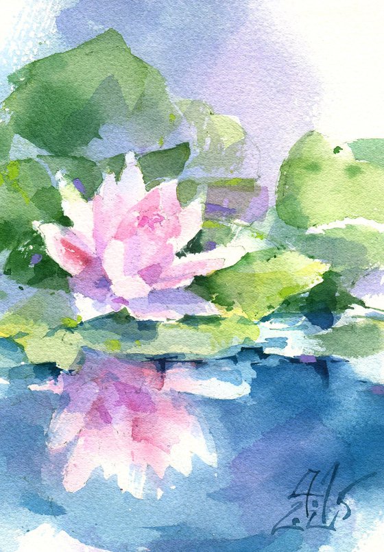 Pink Lotus. Melody of river