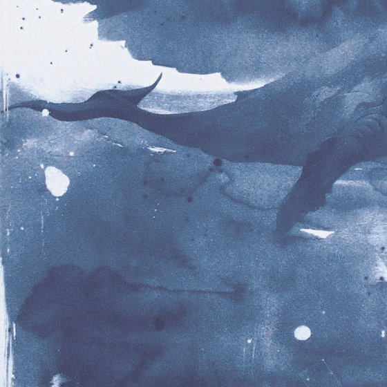 Cyanotype_22_A2_42X60 cm_Whale