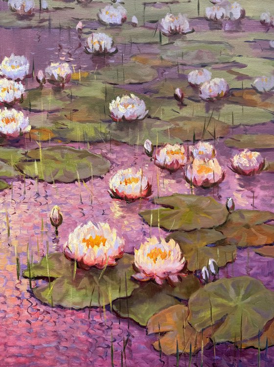 Lily Symphony