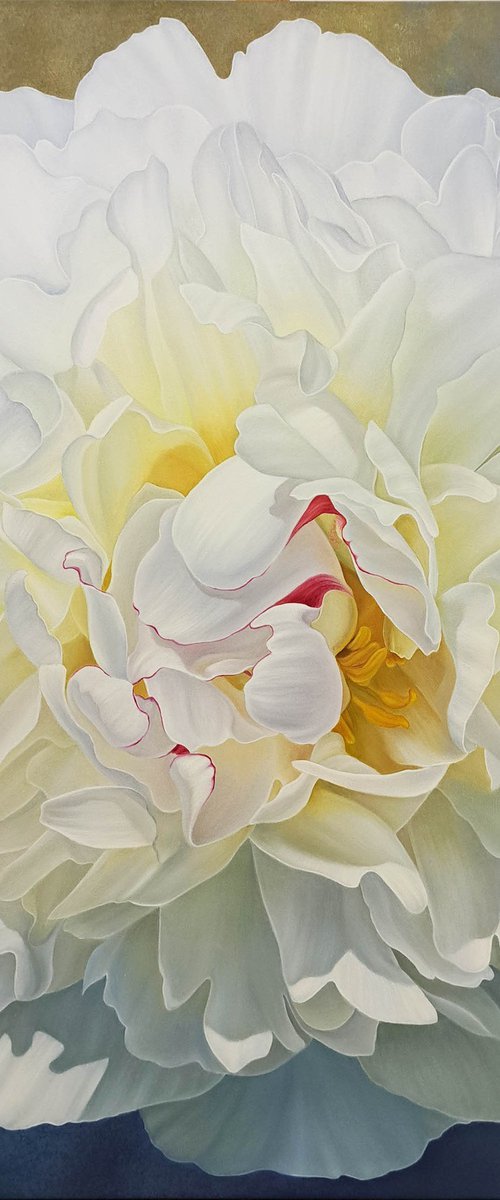 Peony extravaganza by Anna Steshenko