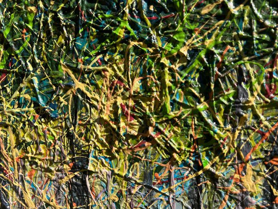 Spring Forest Light