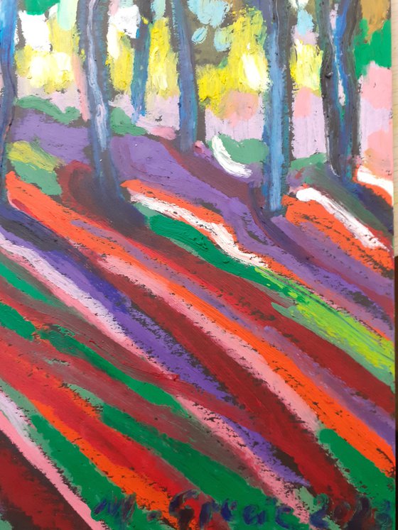 Colourful forest shadows