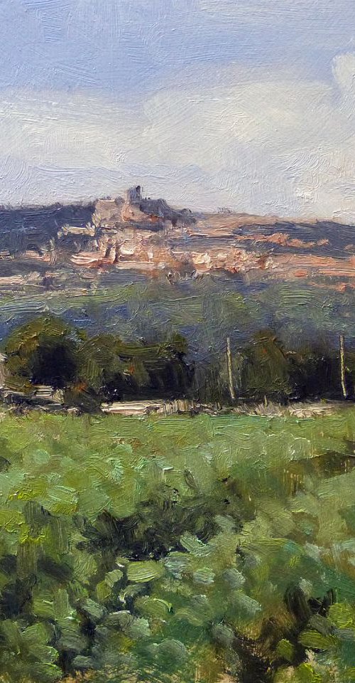 Vineyards near Châteauneuf by Pascal Giroud
