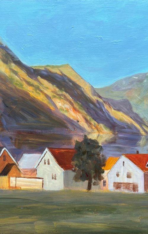Norway fjord by Shelly Du