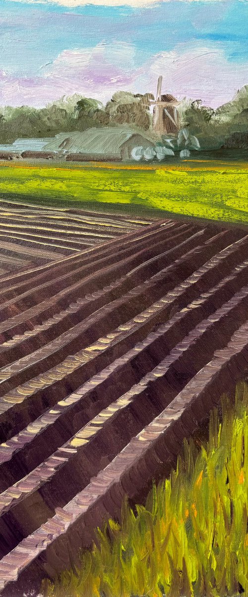 Plowed Field in Wachtum by Dmitry Fedorov
