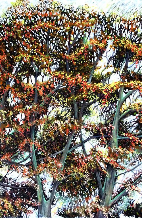 Woodlands 4 by Roz Edwards