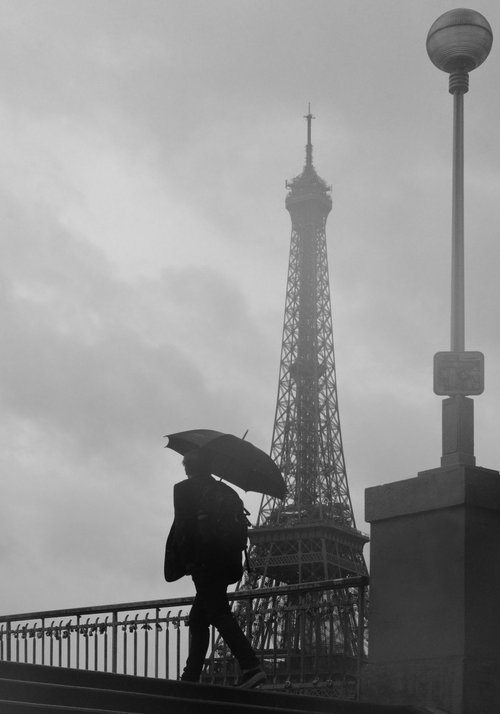 " Rainy Morning. Paris " Limited Edition 1 / 50 by Dmitry Savchenko