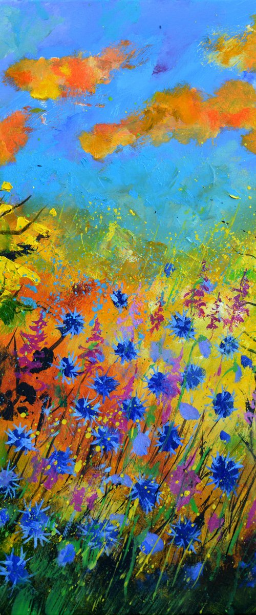 Blue cornflowers  7722 by Pol Henry Ledent