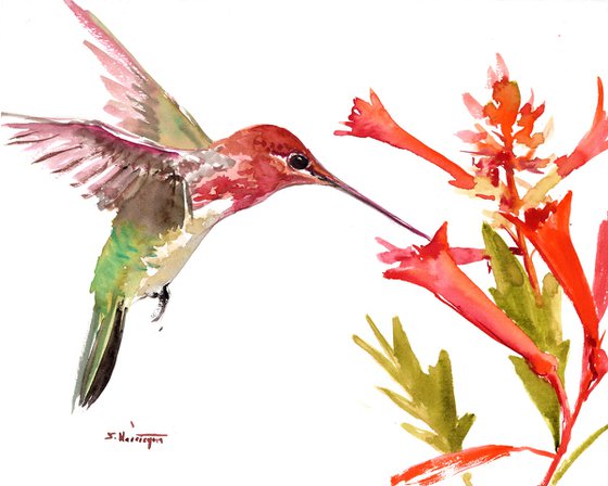 Hummingbird and Flowers