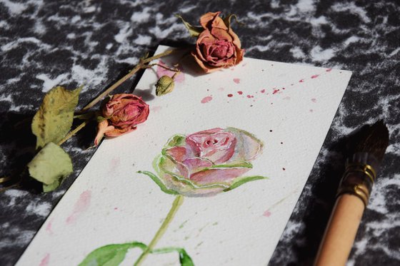 Rose original watercolor painting postcard Pink flowers bouquet