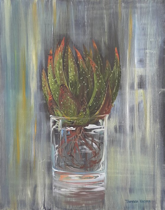 The Glass Aloe