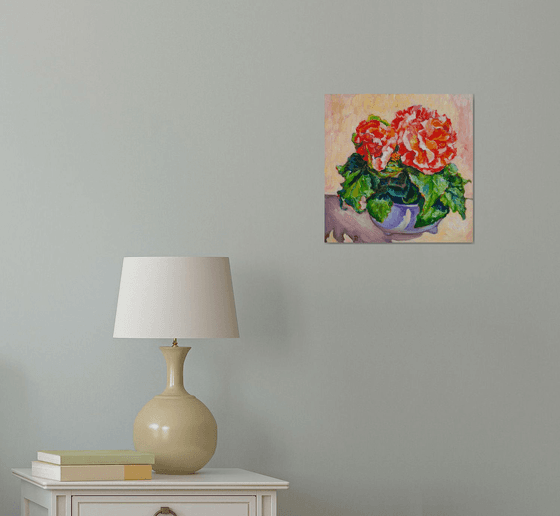Begonia