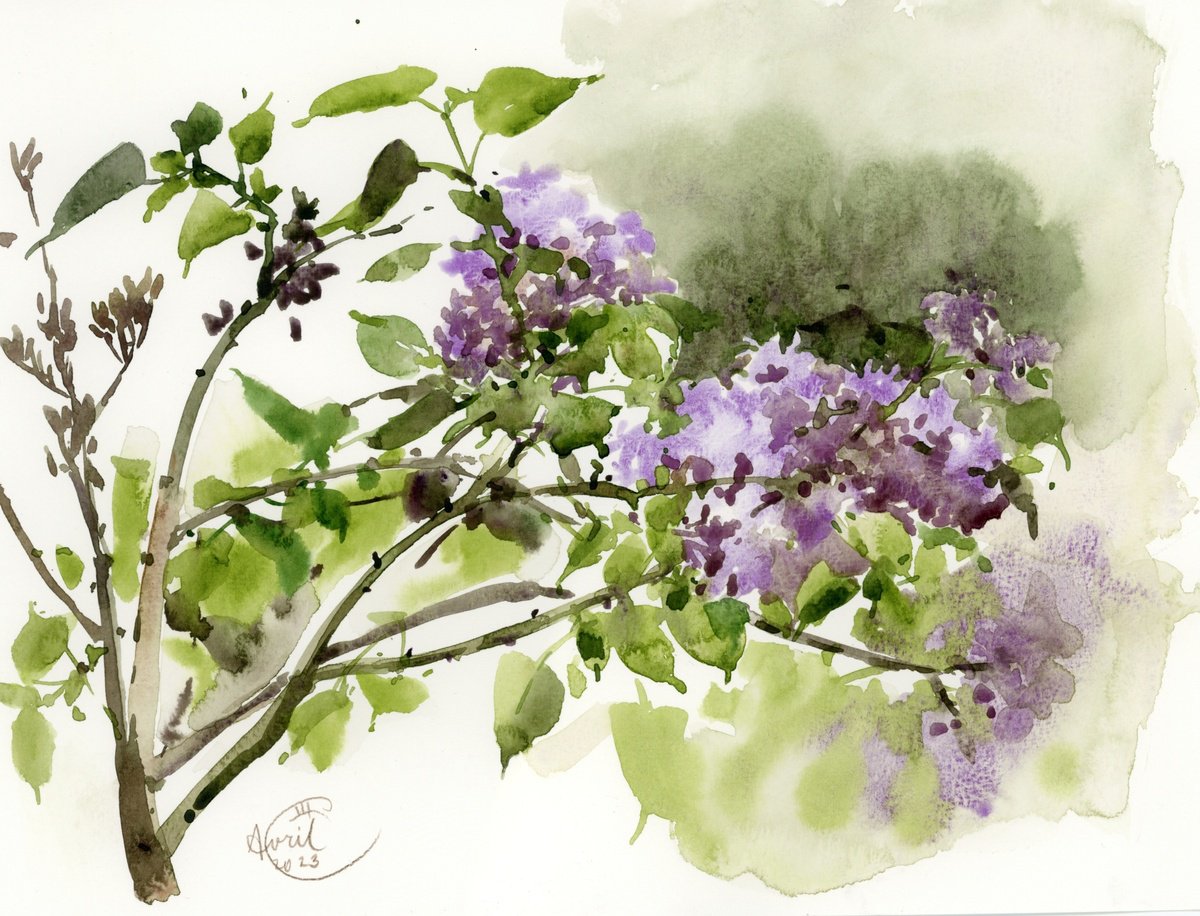 A branch of blooming lilac from the slopes of the Loire. by Tatyana Tokareva