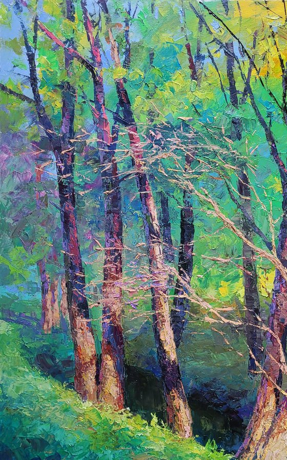 A Walk Through the Autumn Forest