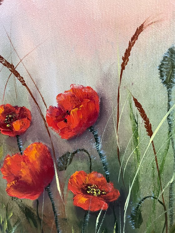 Red poppies for sweet home