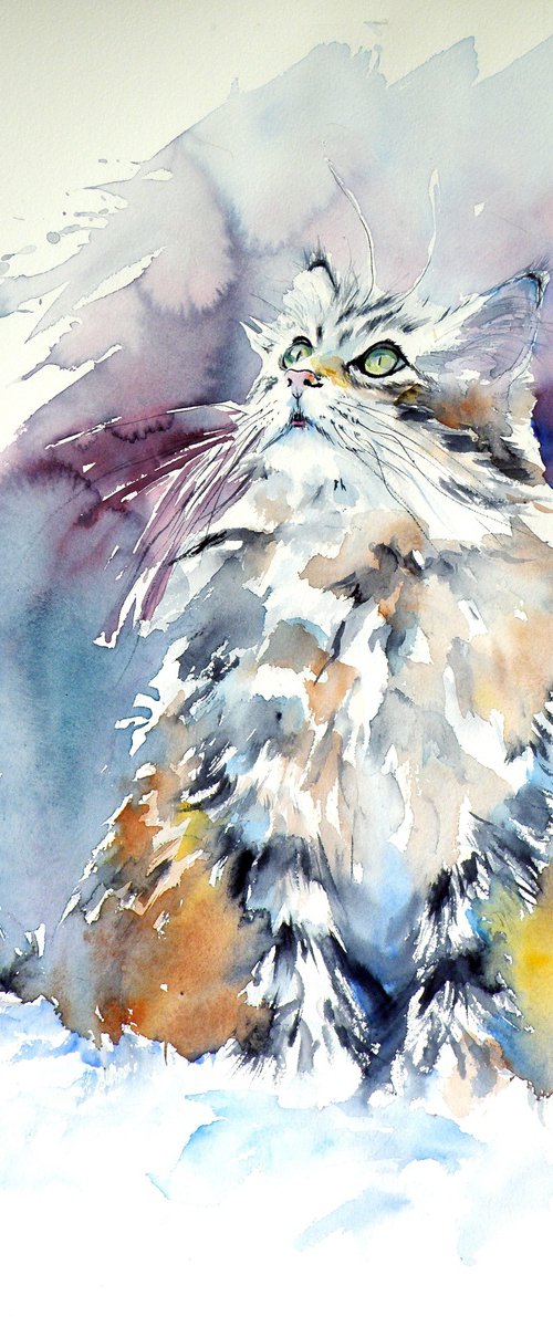Cat in the snow by Kovács Anna Brigitta