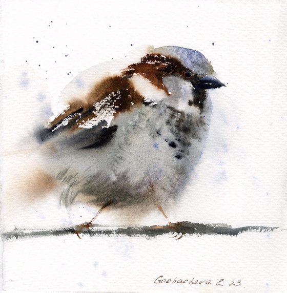 Sparrow