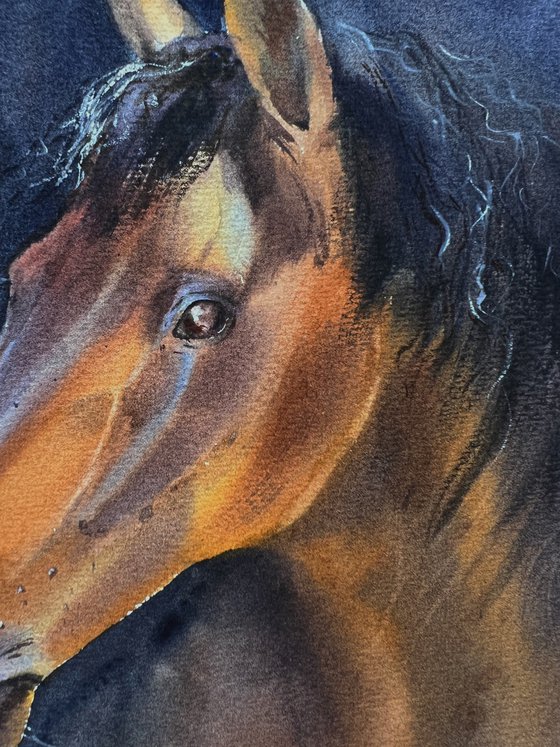Horse portrait #2